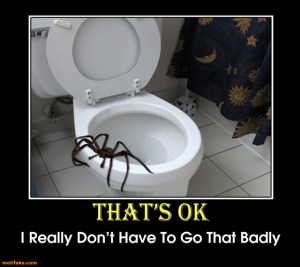 spider toilet
