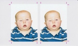 funny-image-the-best-passport-photo-ever-560x327