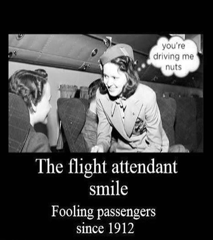 flight attendant humour