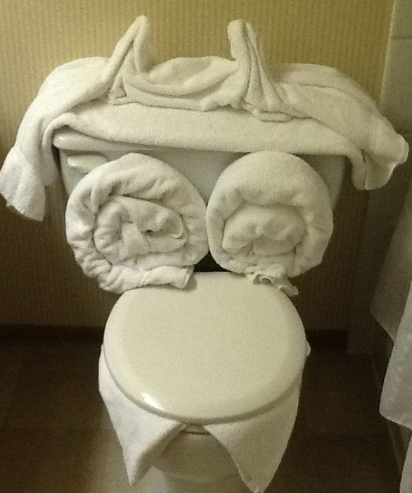 towel art