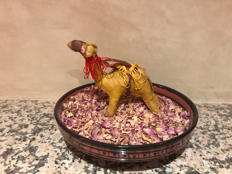 CD5EAB10-2367-4DE4-BC69-FAF8ED06FC91