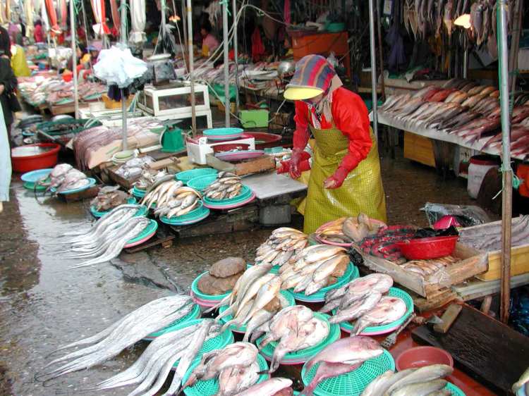 Fish market